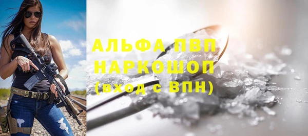 крисы Алексин